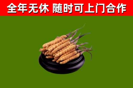 乐东县烟酒回收冬虫夏草.jpg